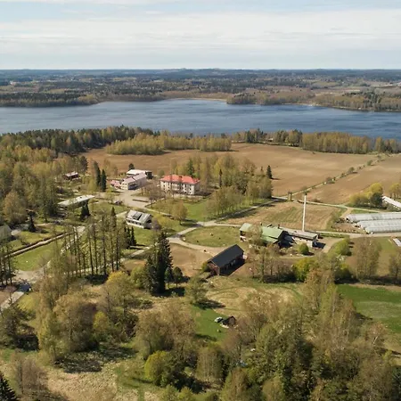 Matti, Mainiemi